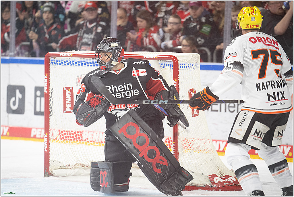PENNY DEL; Koelner Haie- Loewen Frankfurt; Koeln, 30.12.2024