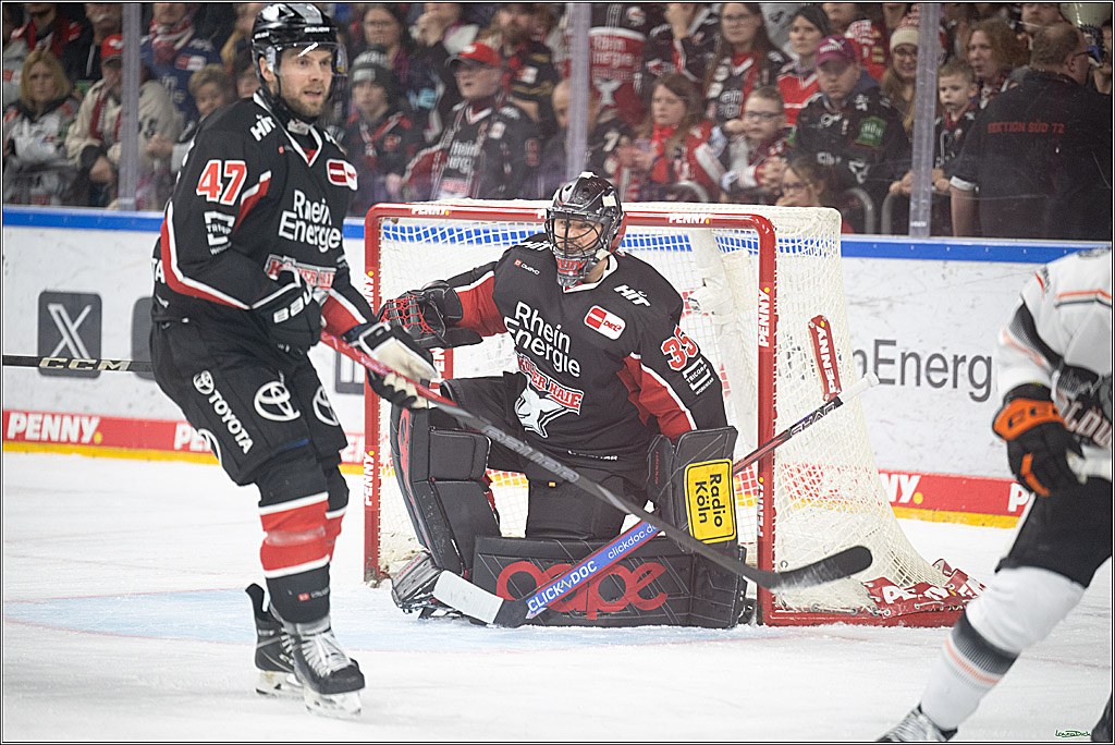PENNY DEL; Koelner Haie- Loewen Frankfurt; Koeln, 30.12.2024