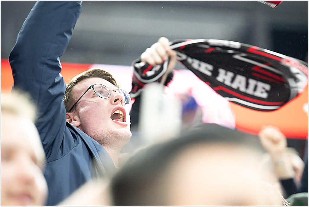 PENNY DEL; Koelner Haie- Loewen Frankfurt; Koeln, 30.12.2024
