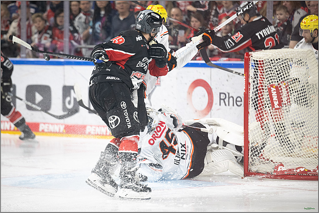 PENNY DEL; Koelner Haie- Loewen Frankfurt; Koeln, 30.12.2024