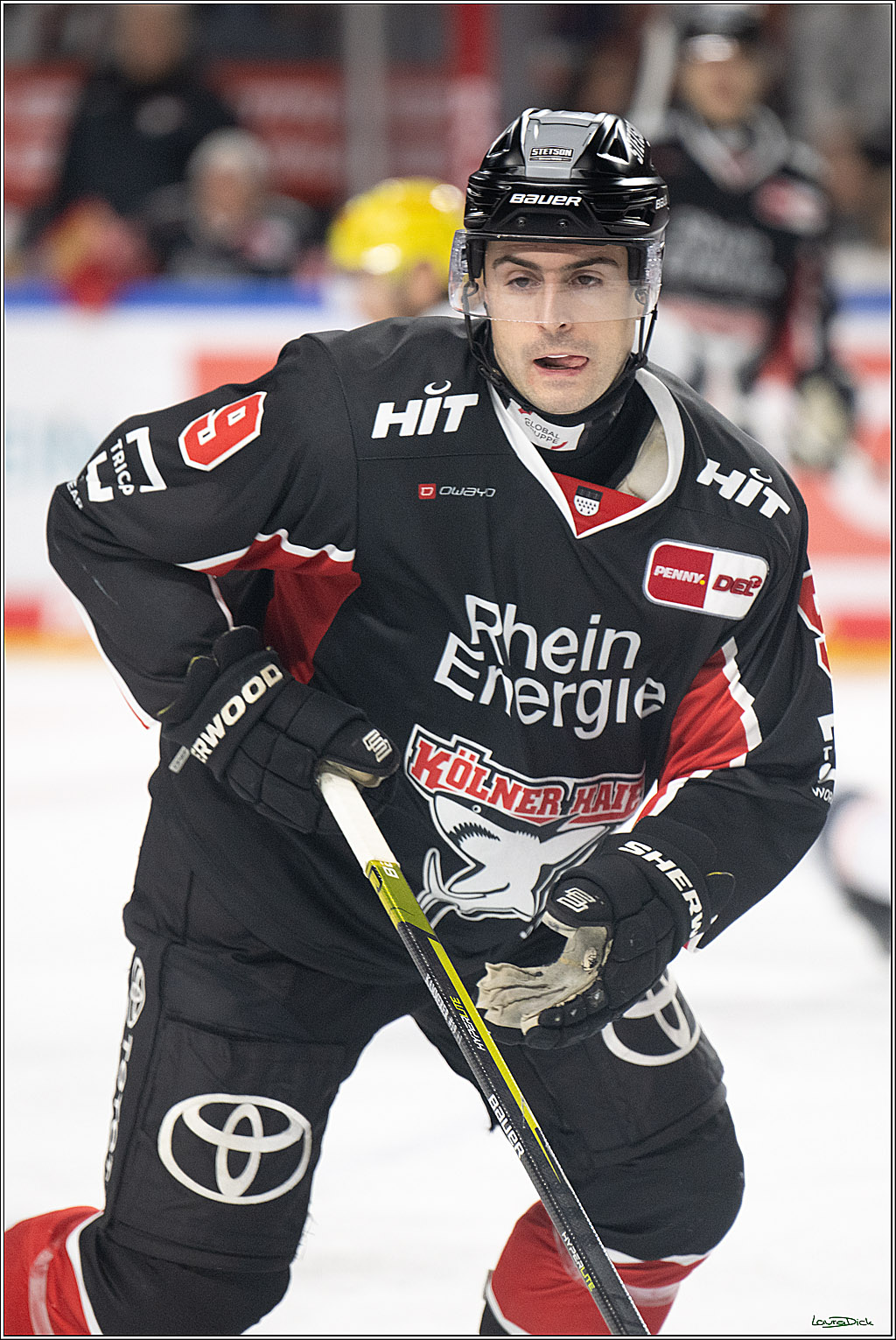 PENNY DEL; Koelner Haie- Loewen Frankfurt; Koeln, 30.12.2024