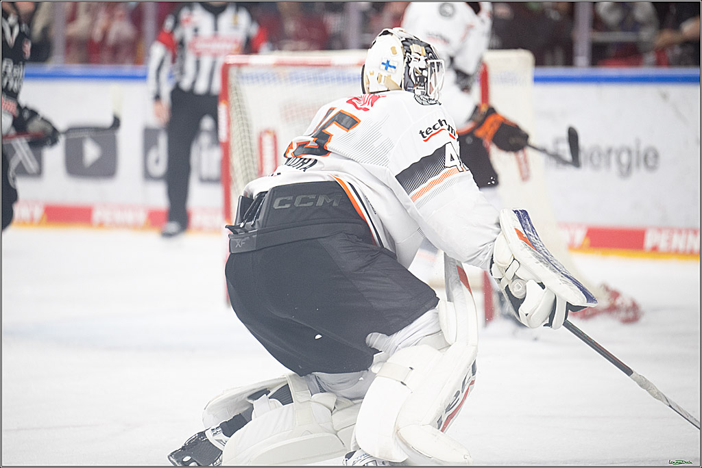 PENNY DEL; Koelner Haie- Loewen Frankfurt; Koeln, 30.12.2024