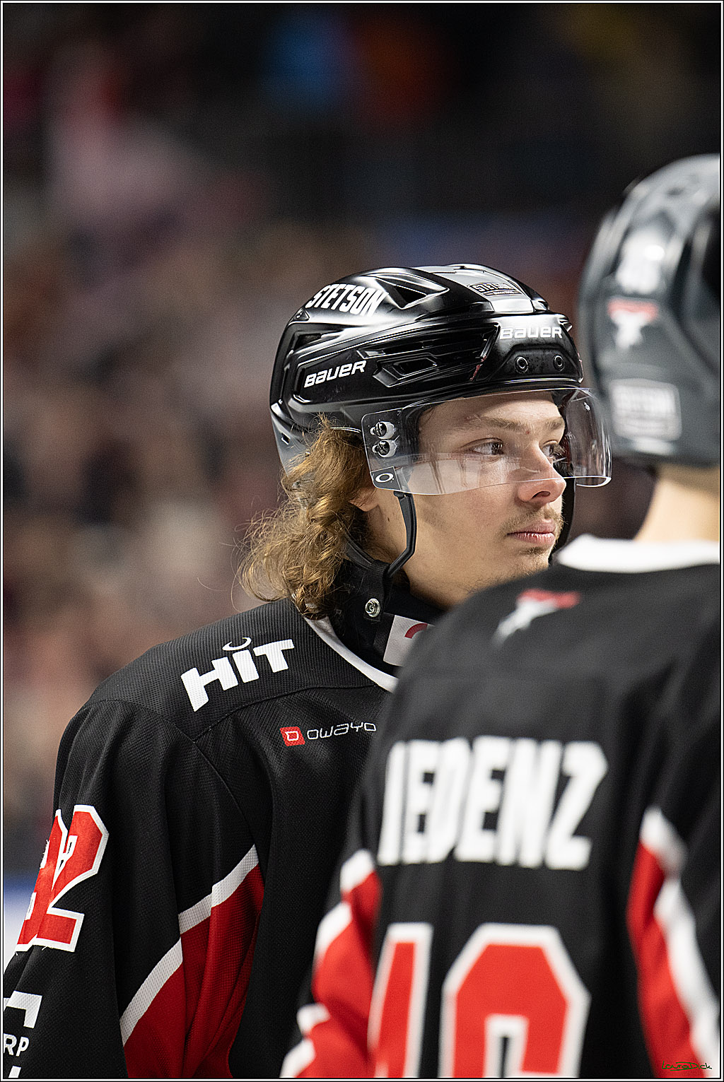 PENNY DEL; Koelner Haie- Loewen Frankfurt; Koeln, 30.12.2024