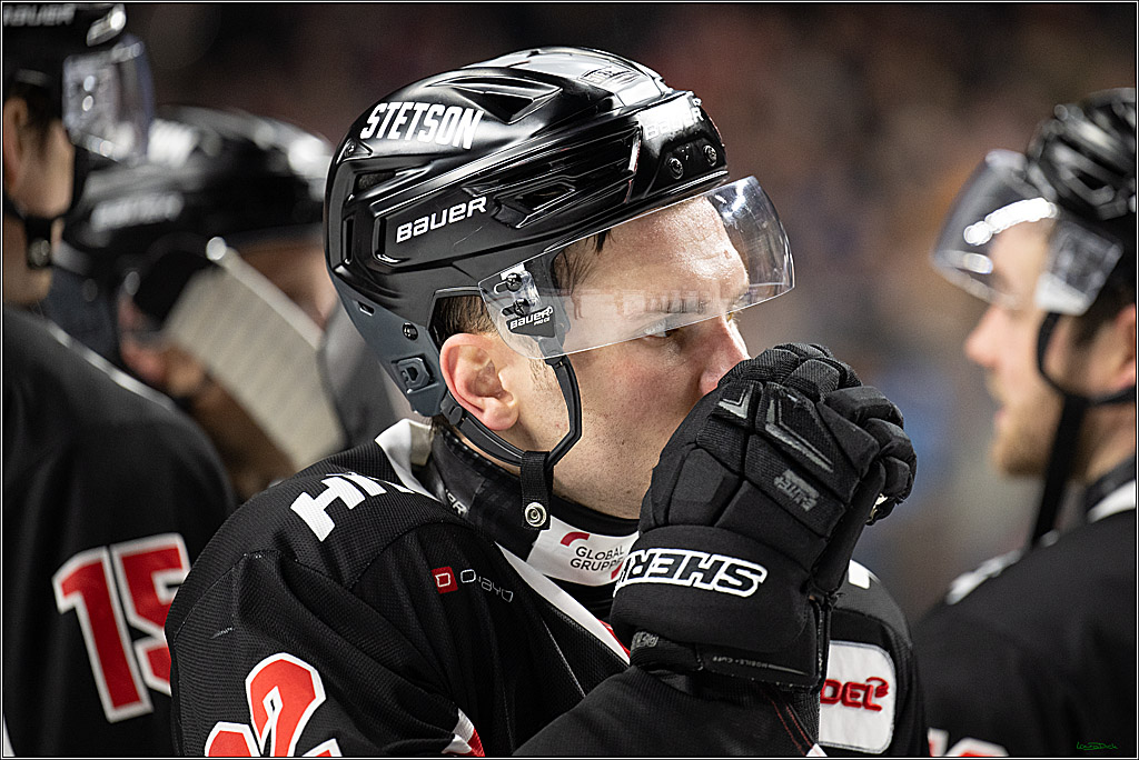 PENNY DEL; Koelner Haie- Loewen Frankfurt; Koeln, 30.12.2024