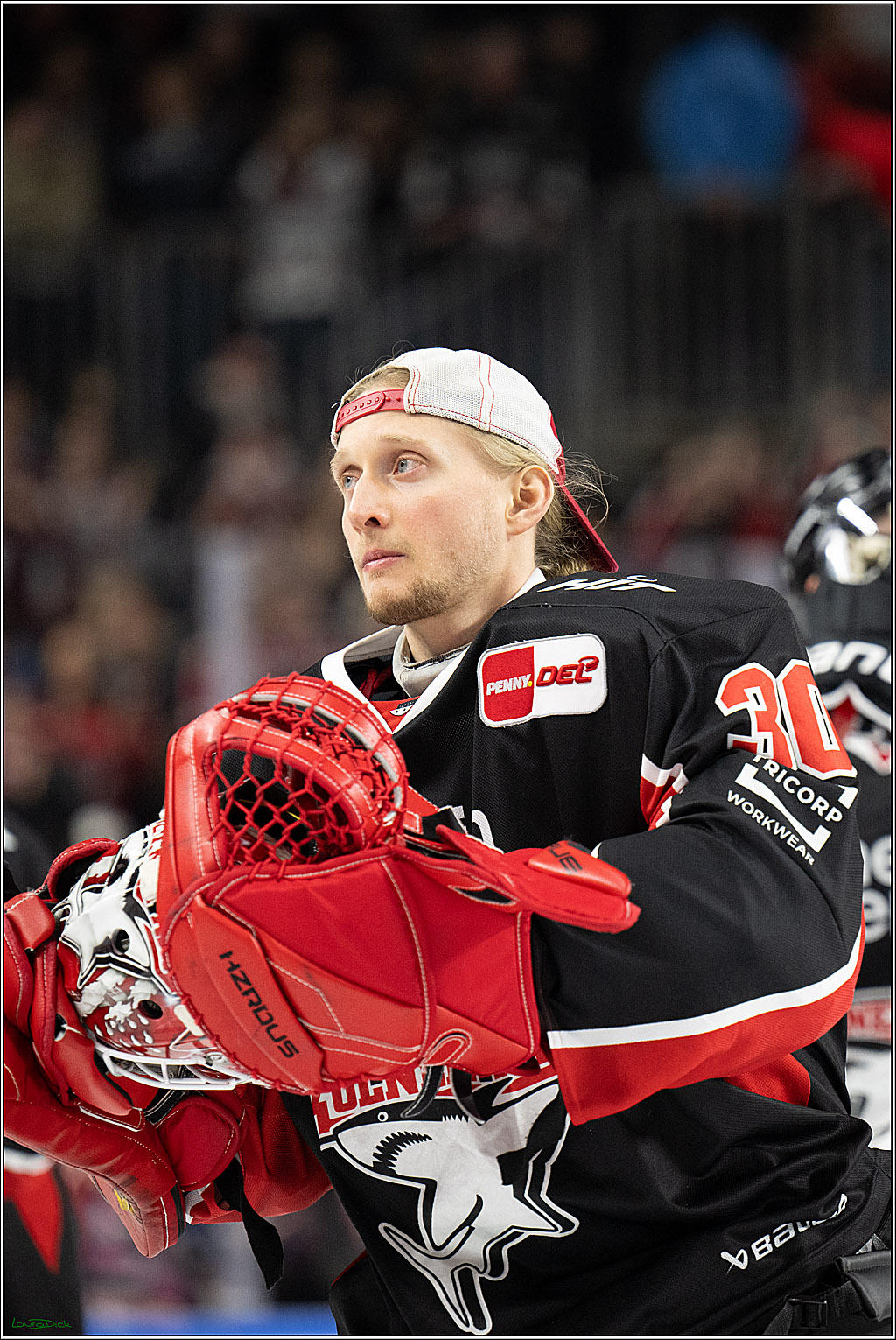 PENNY DEL; Koelner Haie- Loewen Frankfurt; Koeln, 30.12.2024