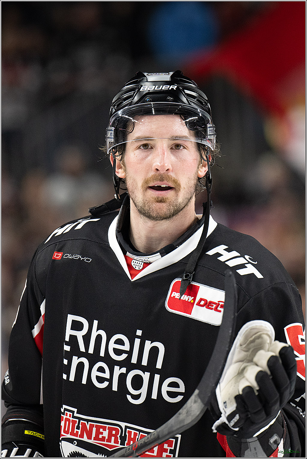 PENNY DEL; Koelner Haie- Loewen Frankfurt; Koeln, 30.12.2024