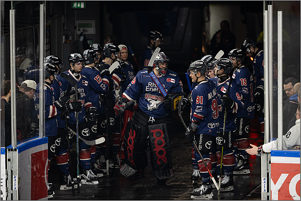 PENNY DEL 1; Kölner Haie - Red Bull München; Köln, 03.01.2025