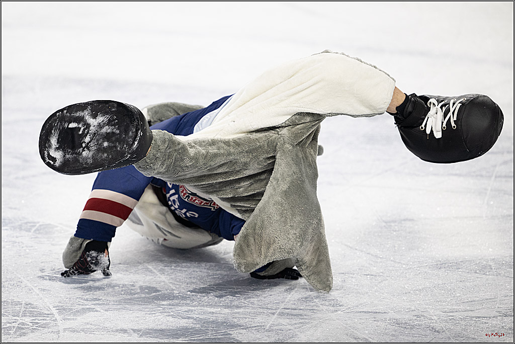 PENNY DEL 1; Kölner Haie - Red Bull München; Köln, 03.01.2025