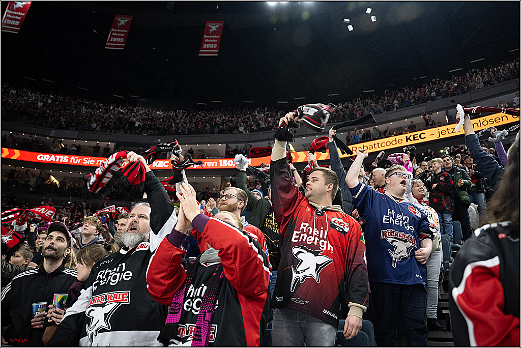 PENNY DEL 1; Kölner Haie - Red Bull München; Köln, 03.01.2025