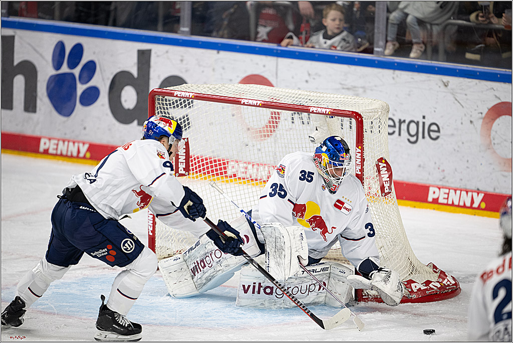 PENNY DEL 1; Kölner Haie - EHC Red Bull München; Köln, 28.01.2025