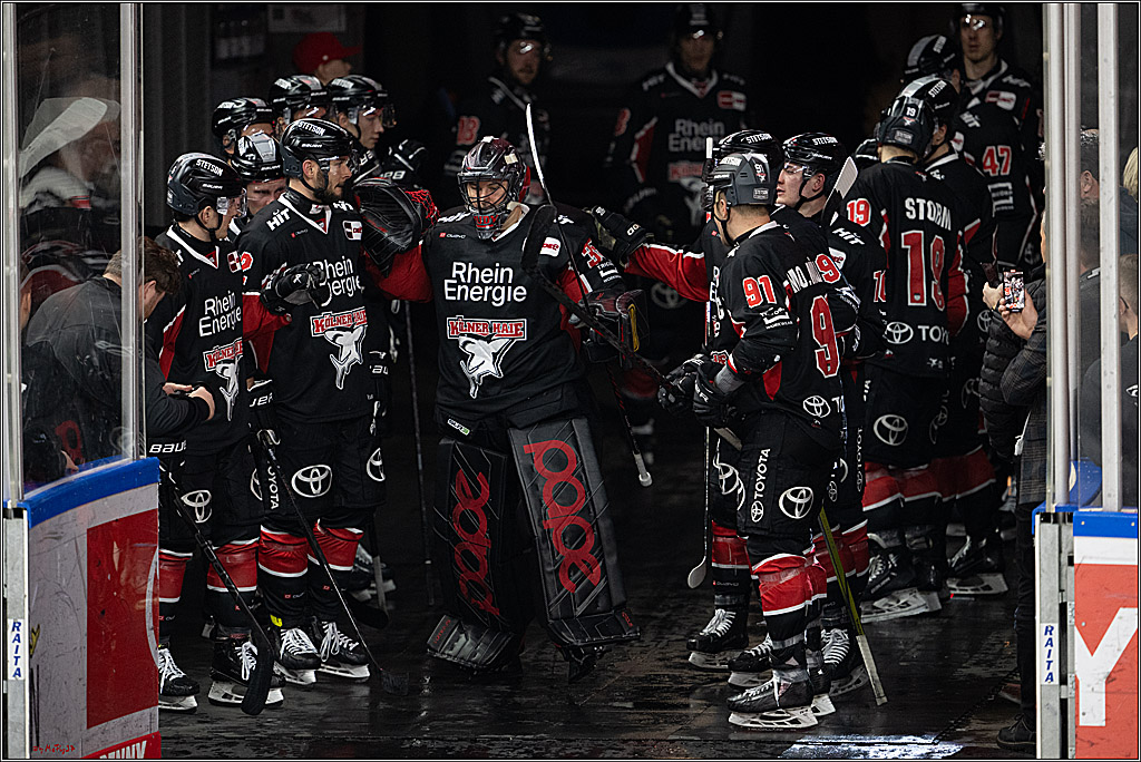 PENNY DEL 1; Kölner Haie - EHC Red Bull München; Köln, 28.01.2025