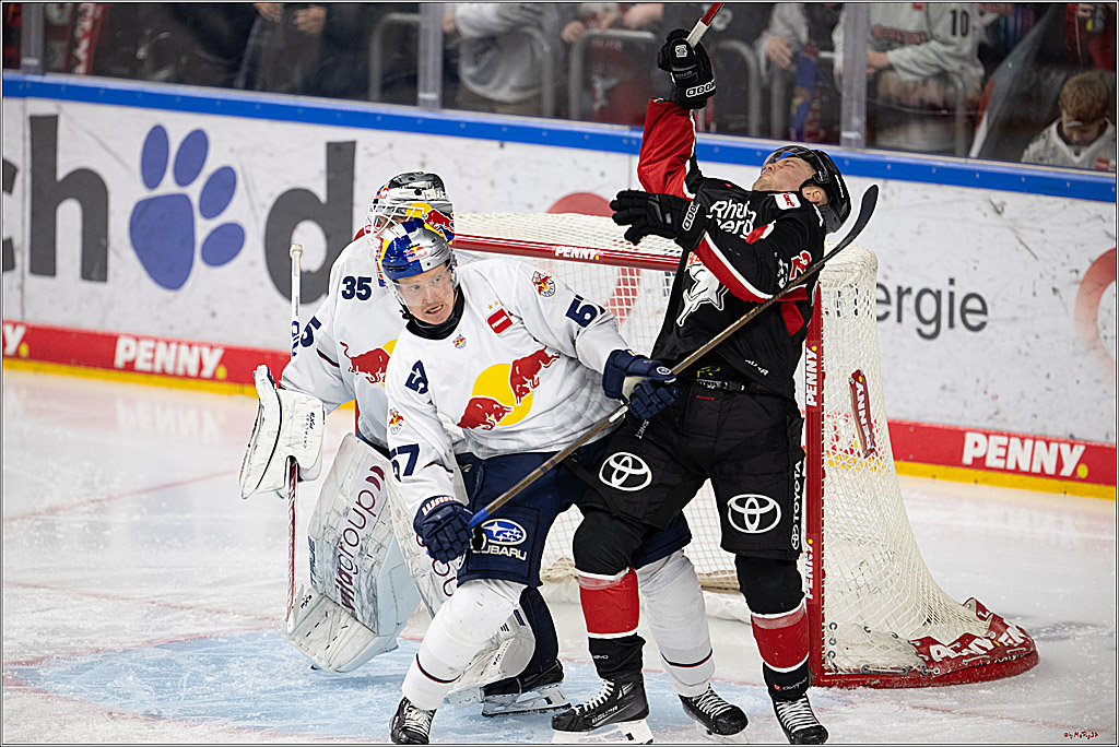 PENNY DEL 1; Kölner Haie - EHC Red Bull München; Köln, 28.01.2025