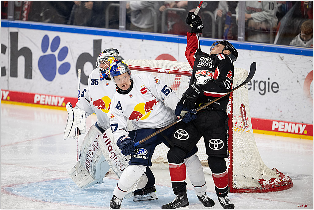 PENNY DEL 1; Kölner Haie - EHC Red Bull München; Köln, 28.01.2025