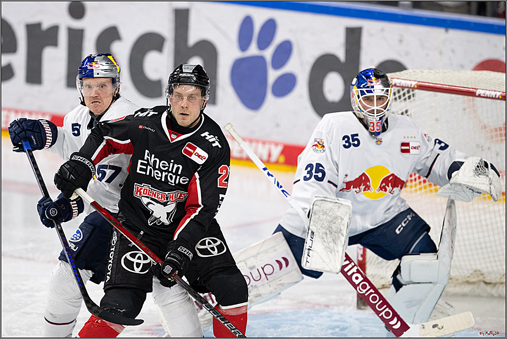 PENNY DEL 1; Kölner Haie - EHC Red Bull München; Köln, 28.01.2025