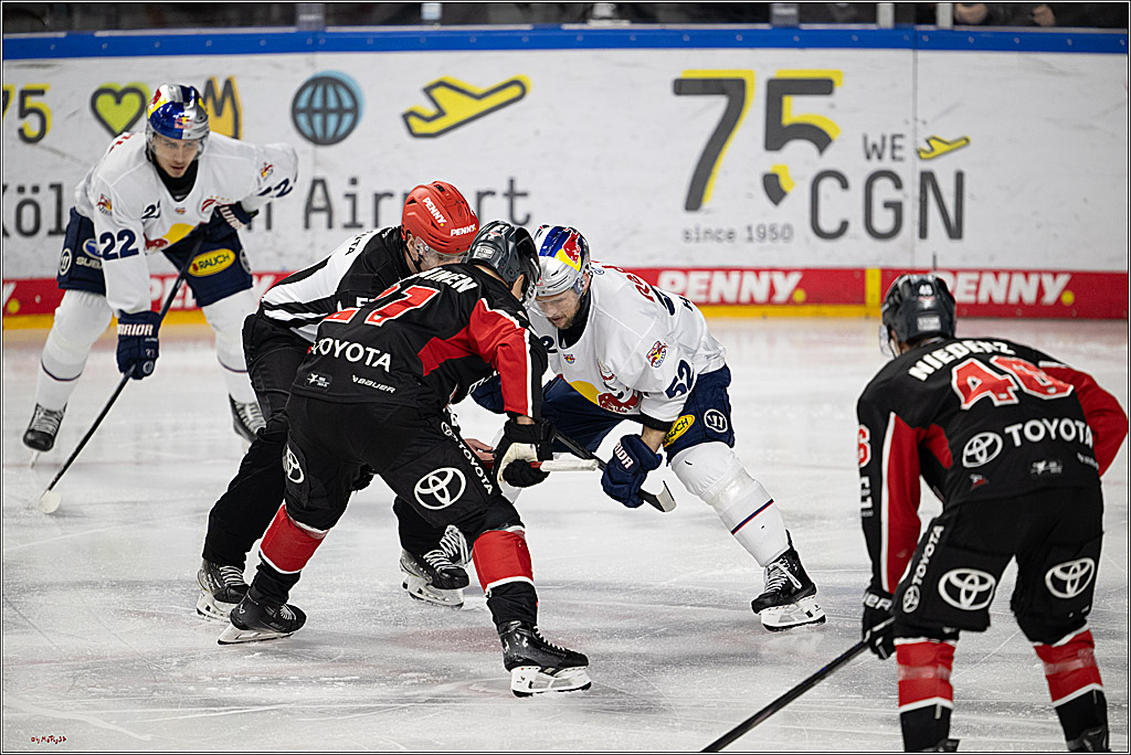 PENNY DEL 1; Kölner Haie - EHC Red Bull München; Köln, 28.01.2025