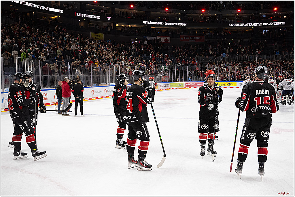 PENNY DEL 1; Kölner Haie - EHC Red Bull München; Köln, 28.01.2025