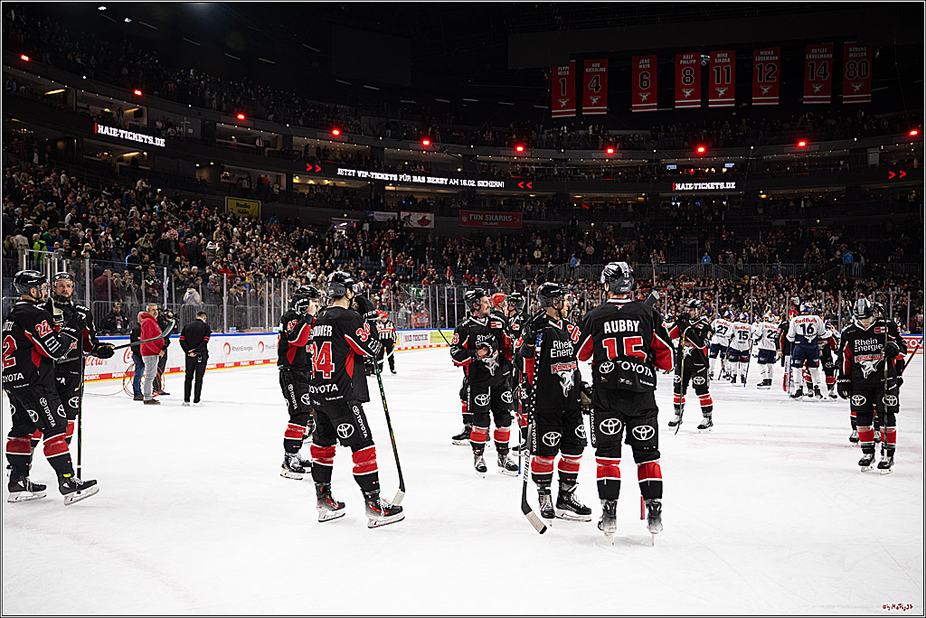 PENNY DEL 1; Kölner Haie - EHC Red Bull München; Köln, 28.01.2025