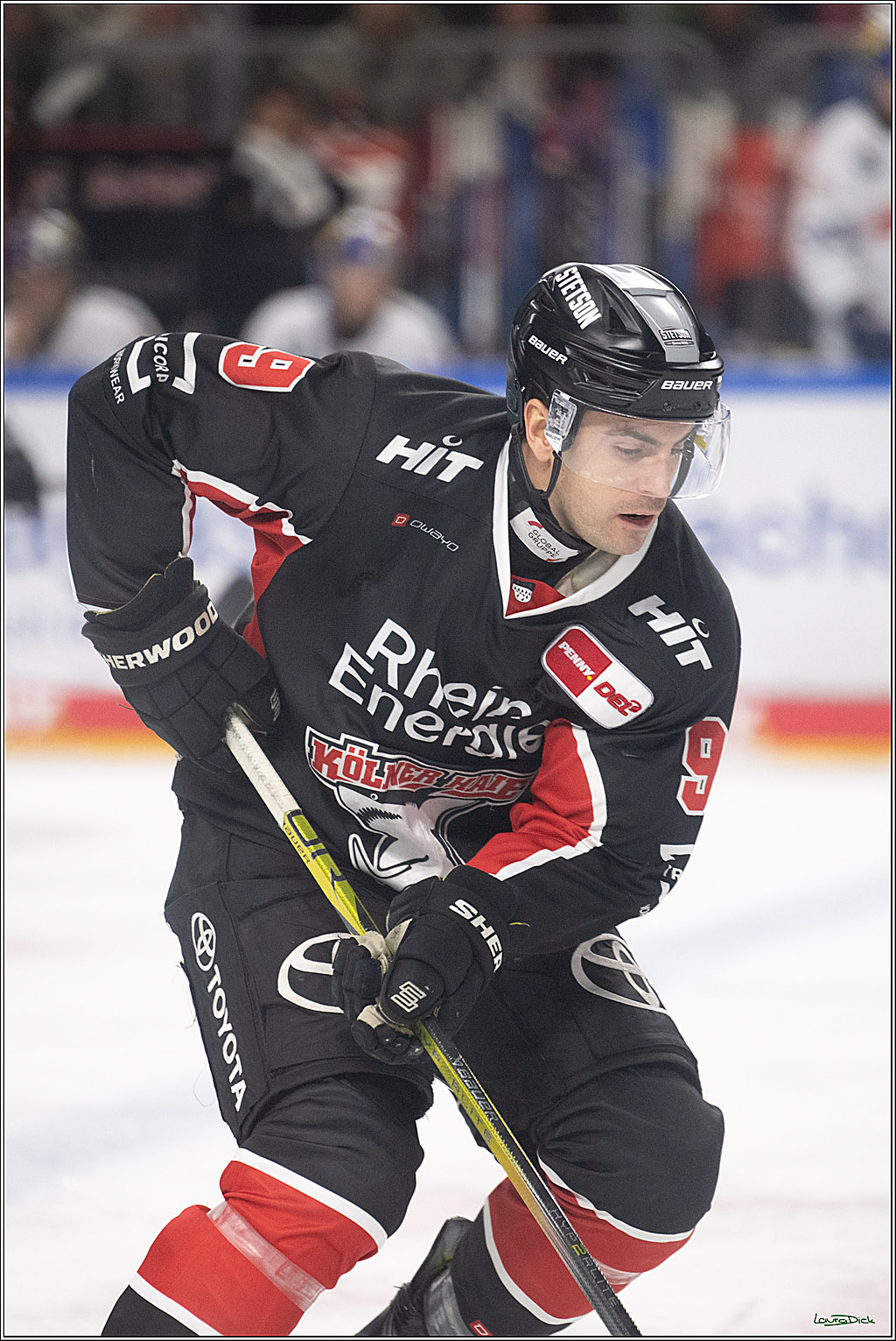 PENNY DEL; Koelner Haie-EHC Red Bull Muenchen; Koeln, 28.01.2025
