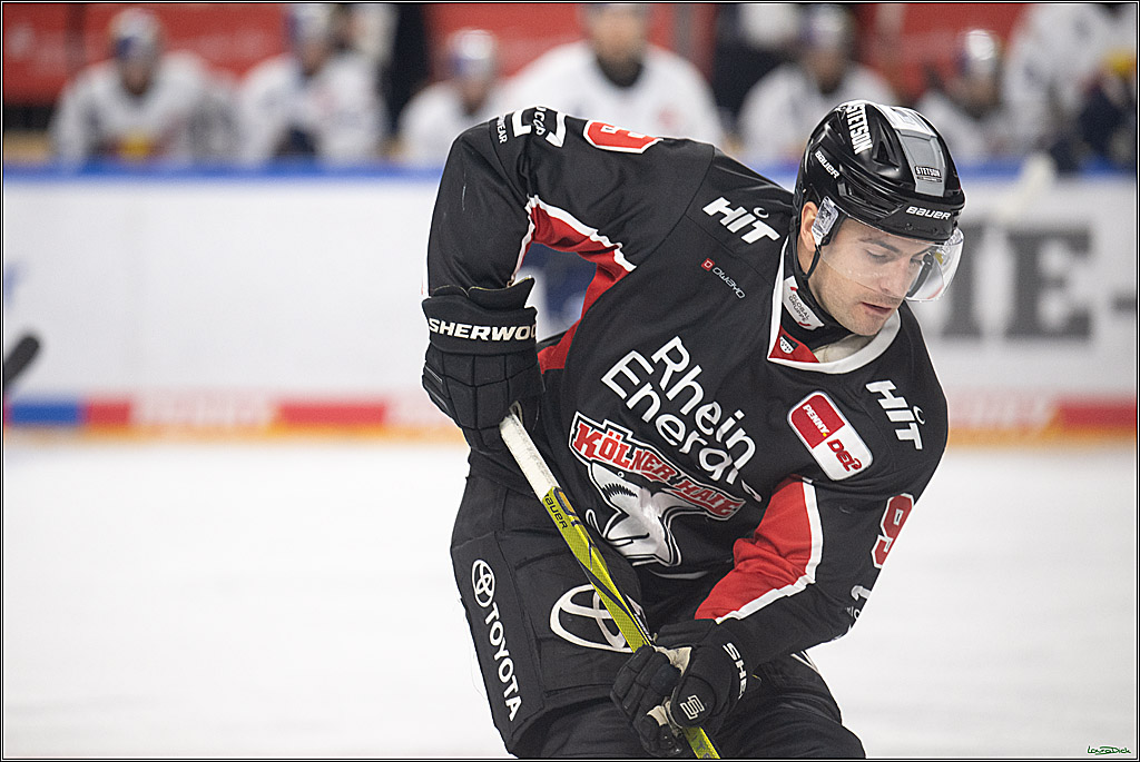 PENNY DEL; Koelner Haie-EHC Red Bull Muenchen; Koeln, 28.01.2025