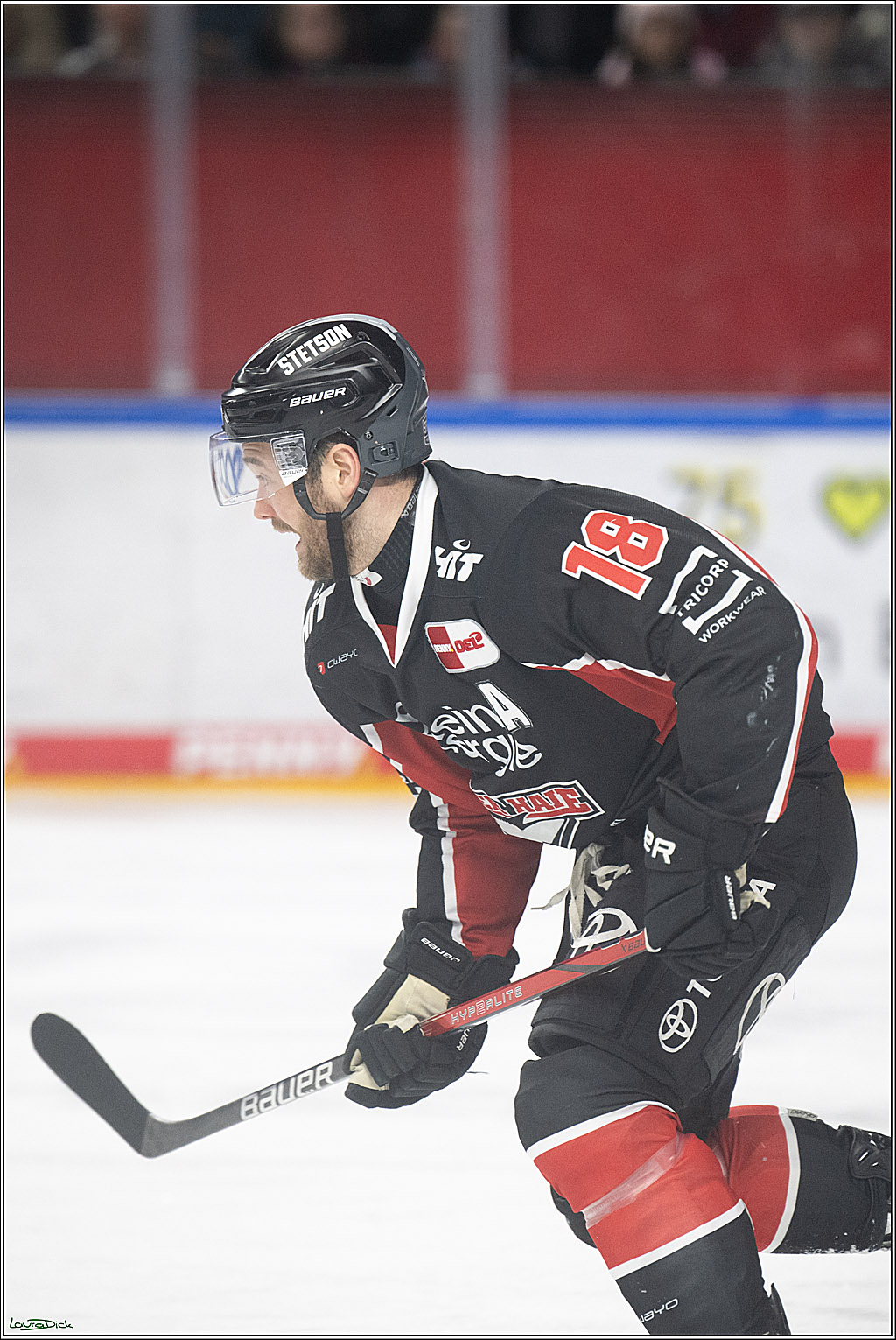 PENNY DEL; Koelner Haie-EHC Red Bull Muenchen; Koeln, 28.01.2025