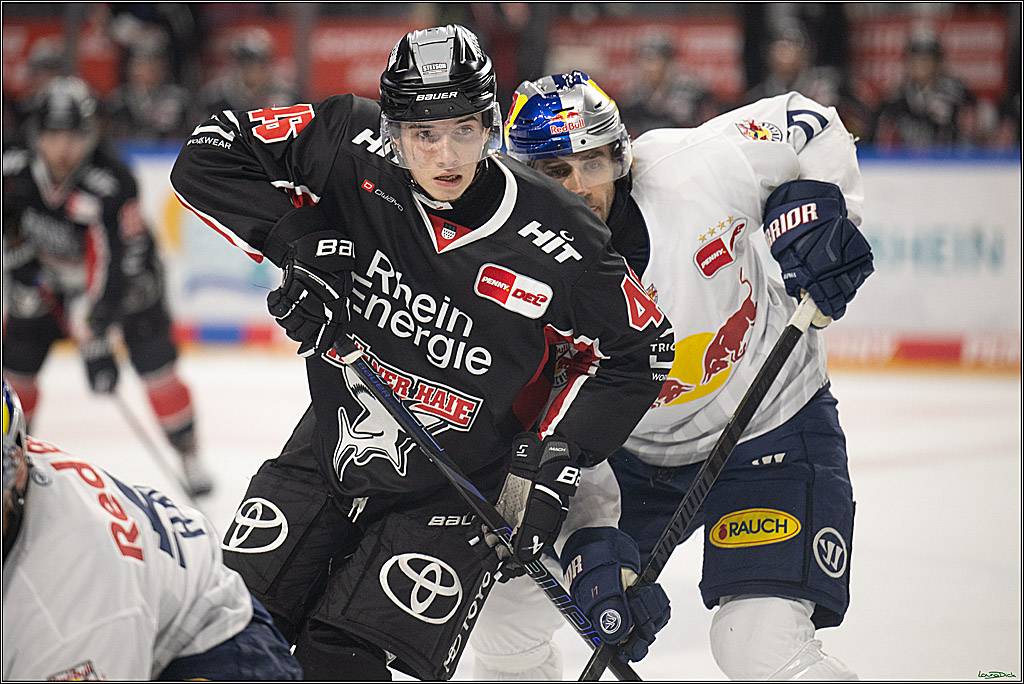PENNY DEL; Koelner Haie-EHC Red Bull Muenchen; Koeln, 28.01.2025