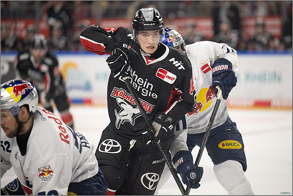 PENNY DEL; Koelner Haie-EHC Red Bull Muenchen; Koeln, 28.01.2025