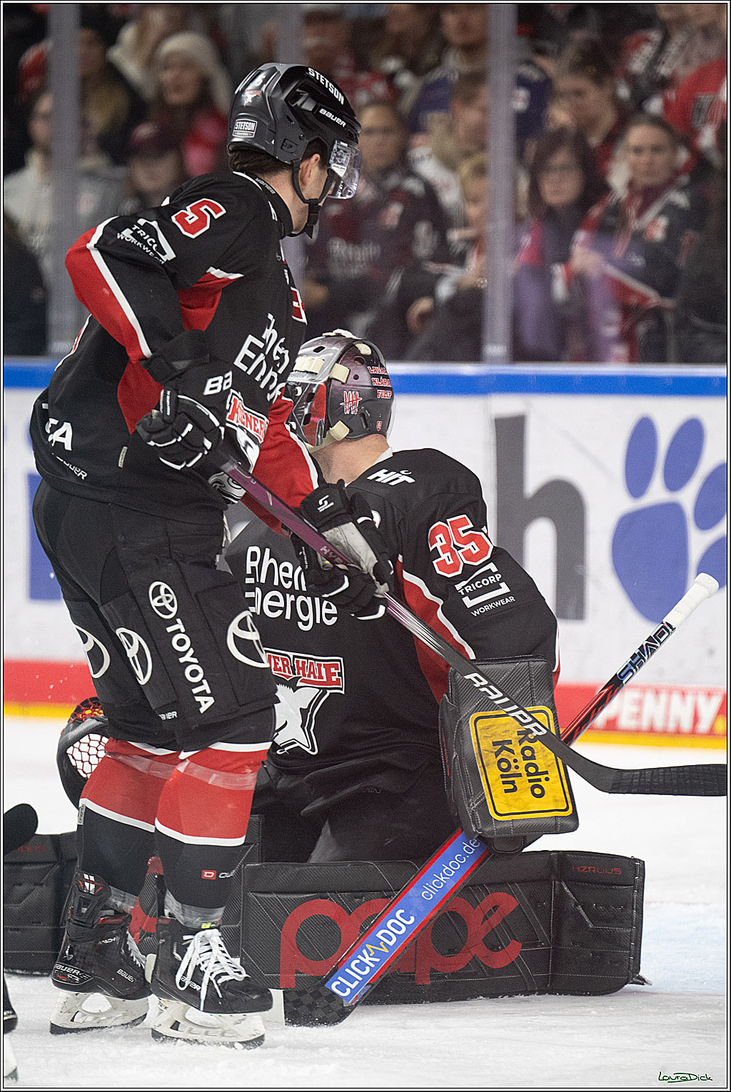 PENNY DEL; Koelner Haie-EHC Red Bull Muenchen; Koeln, 28.01.2025