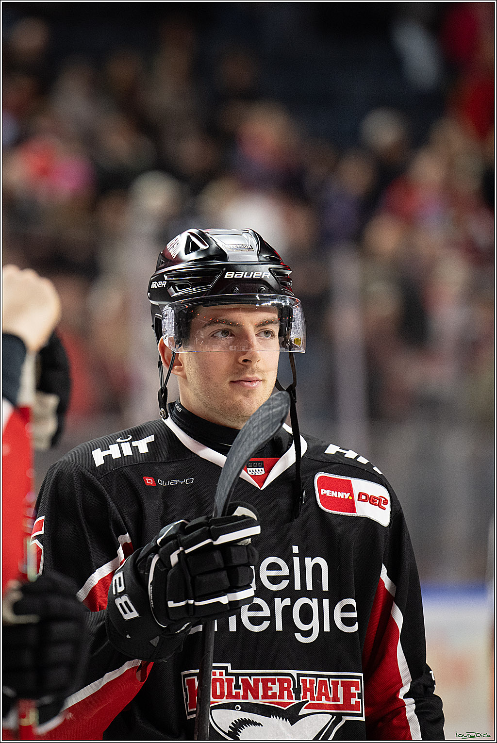 PENNY DEL; Koelner Haie-EHC Red Bull Muenchen; Koeln, 28.01.2025