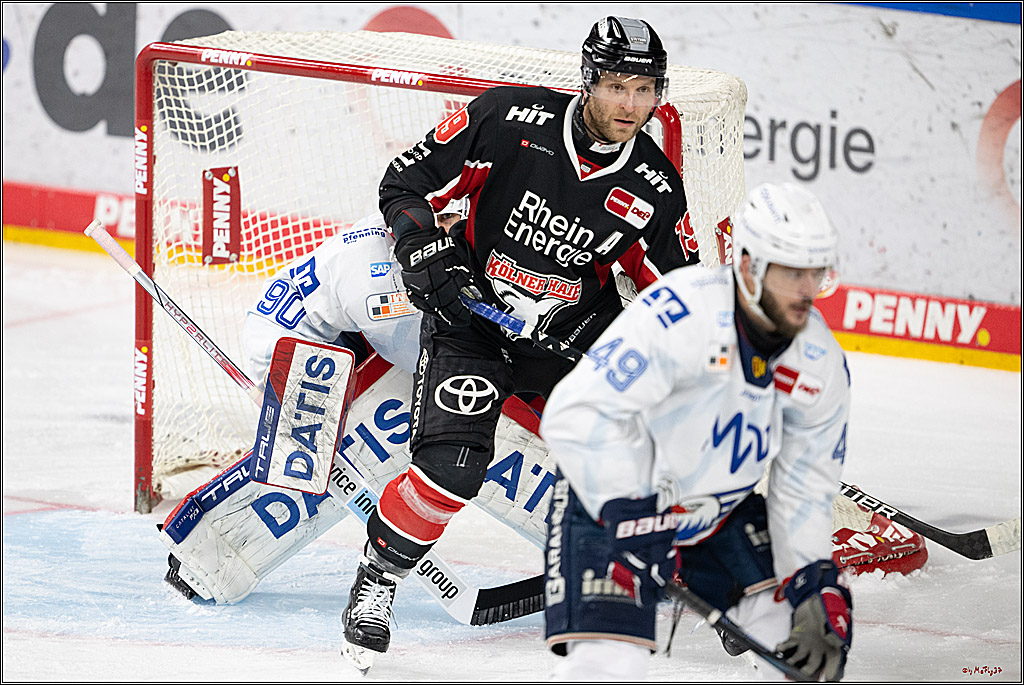 PENNY DEL 1; Kölner Haie - Adler Mannheim; Köln, 02.02.2025