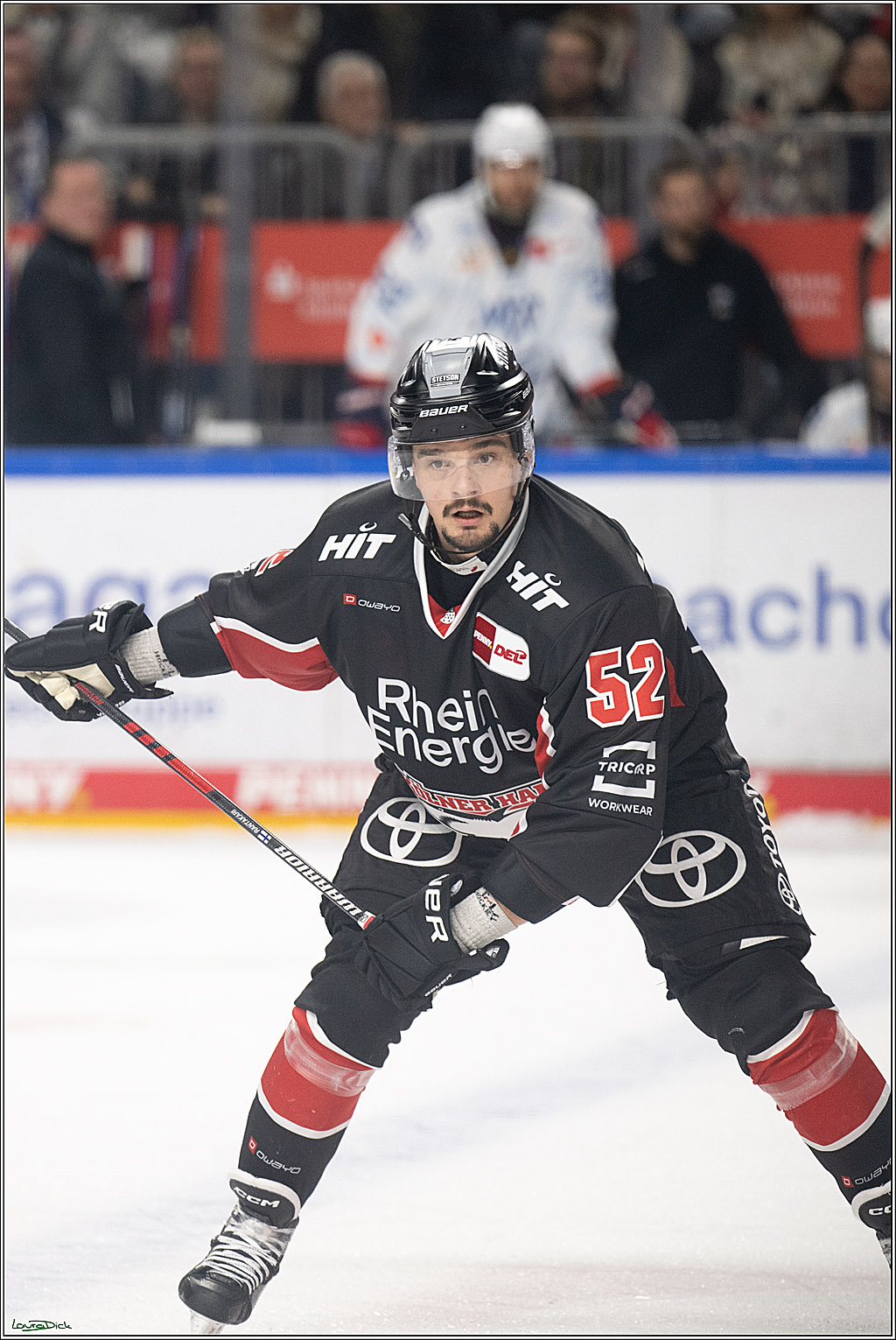 PENNY DEL; Koelner Haie-Adler Mannheim; Koeln, 02.02.2025