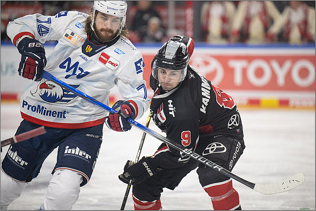 PENNY DEL; Koelner Haie-Adler Mannheim; Koeln, 02.02.2025