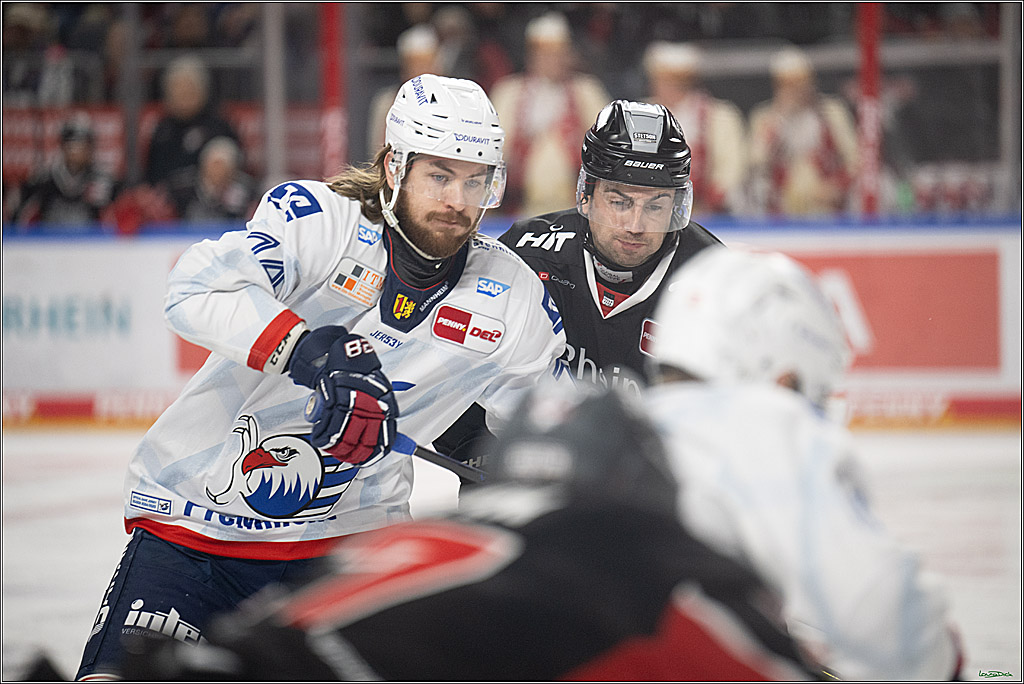 PENNY DEL; Koelner Haie-Adler Mannheim; Koeln, 02.02.2025