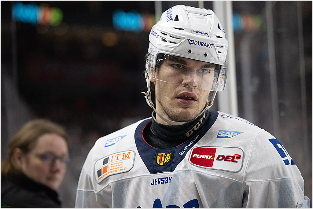 PENNY DEL; Koelner Haie-Adler Mannheim; Koeln, 02.02.2025