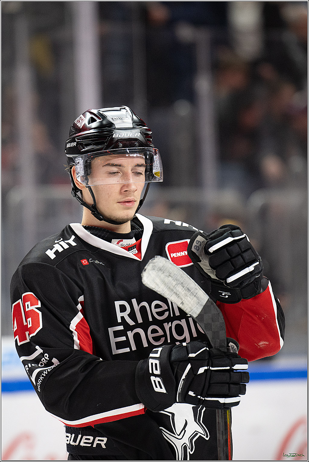 PENNY DEL; Koelner Haie-Adler Mannheim; Koeln, 02.02.2025