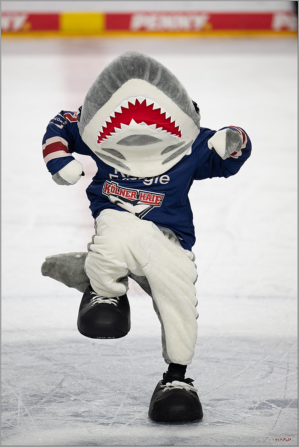 PENNY DEL 1; Kölner Haie - Fischtown Pinguins Bremerhaven; Köln, 07.03.2025
