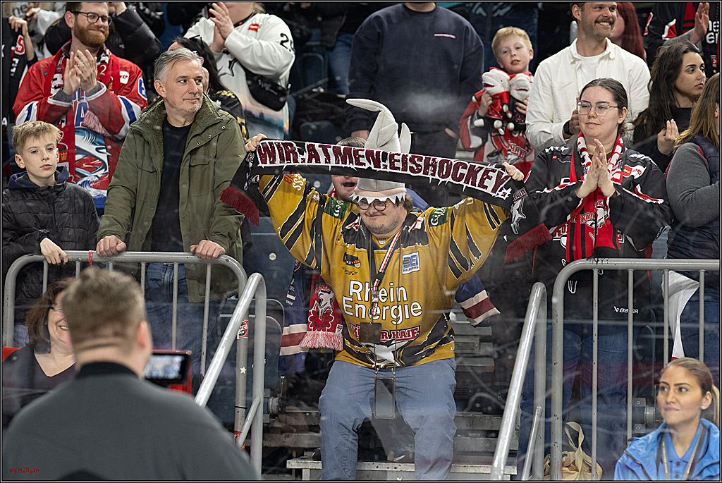 PENNY DEL 1; Kölner Haie - Fischtown Pinguins Bremerhaven; Köln, 07.03.2025