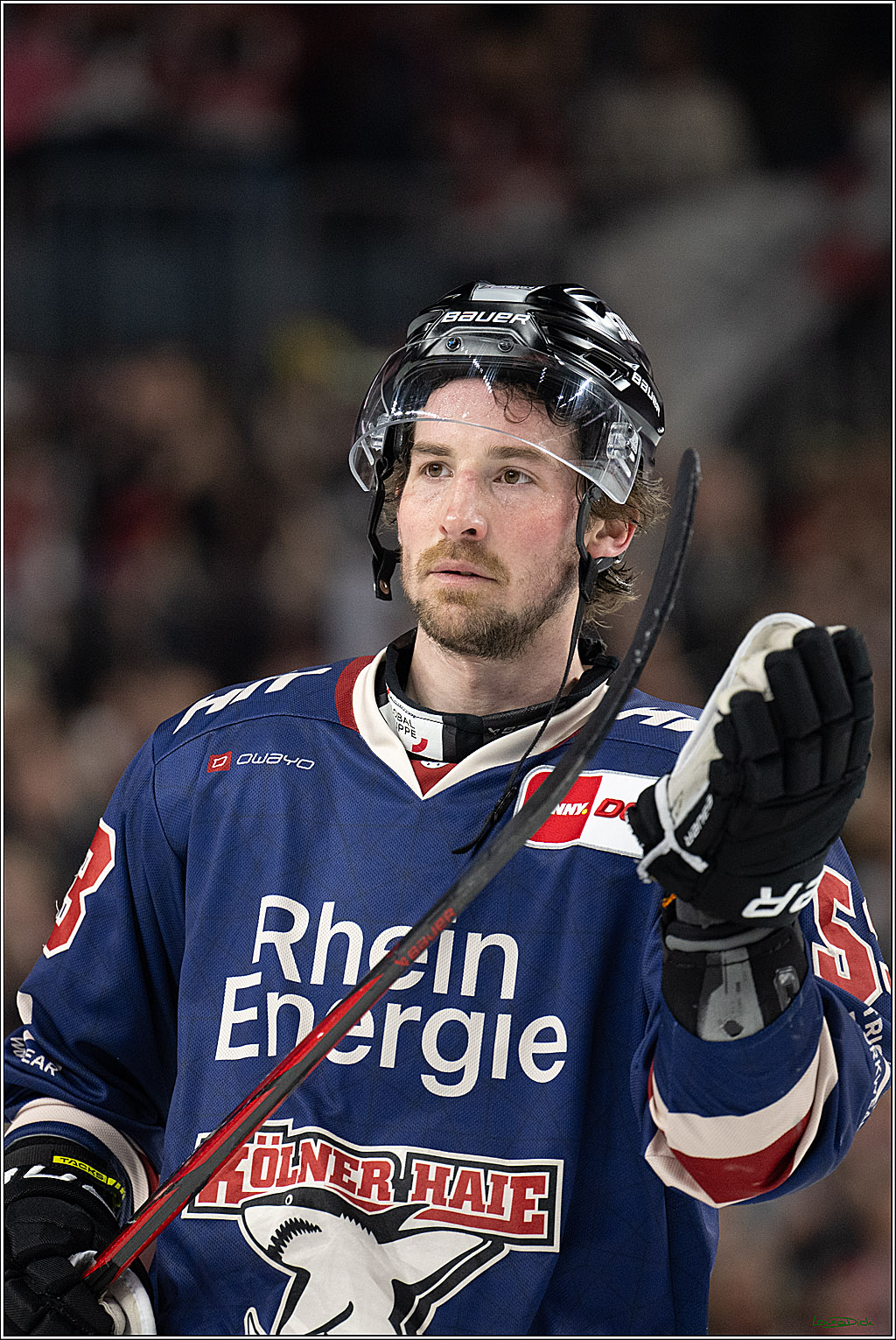 PENNY DEL; Koelner Haie-Fischtown Pinguins; Koeln, 07.03.2025