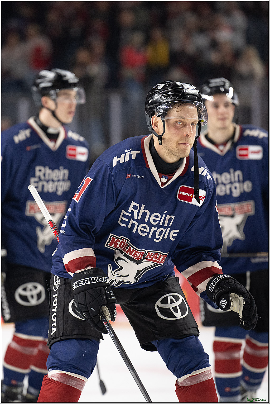 PENNY DEL; Koelner Haie-Fischtown Pinguins; Koeln, 07.03.2025