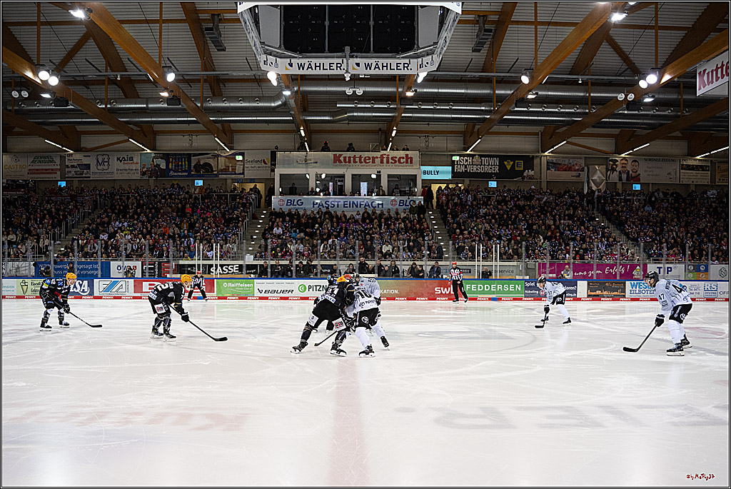 PENNY DEL 1 - Playoff Viertelfinale; Fischtown Pinguins Bremerhaven - Kölner Haie; Bremerhaven, 16.03.2025