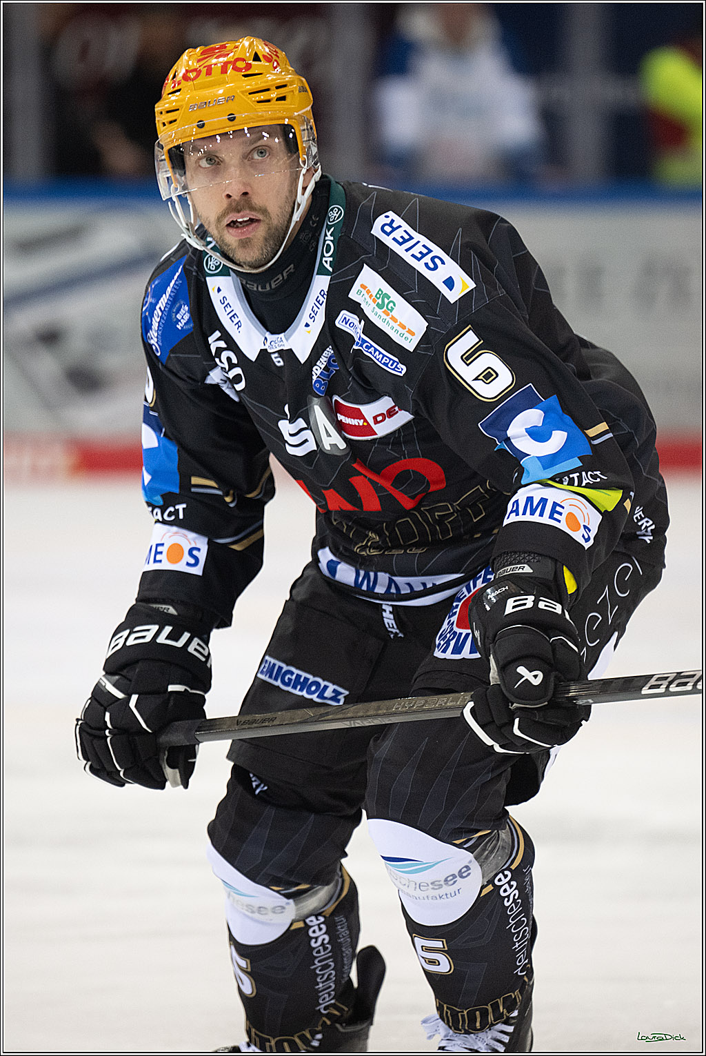 PENNY DEL; Fischtown Pinguins-Koelner Haie; Bremerhaven, 16.03.2025