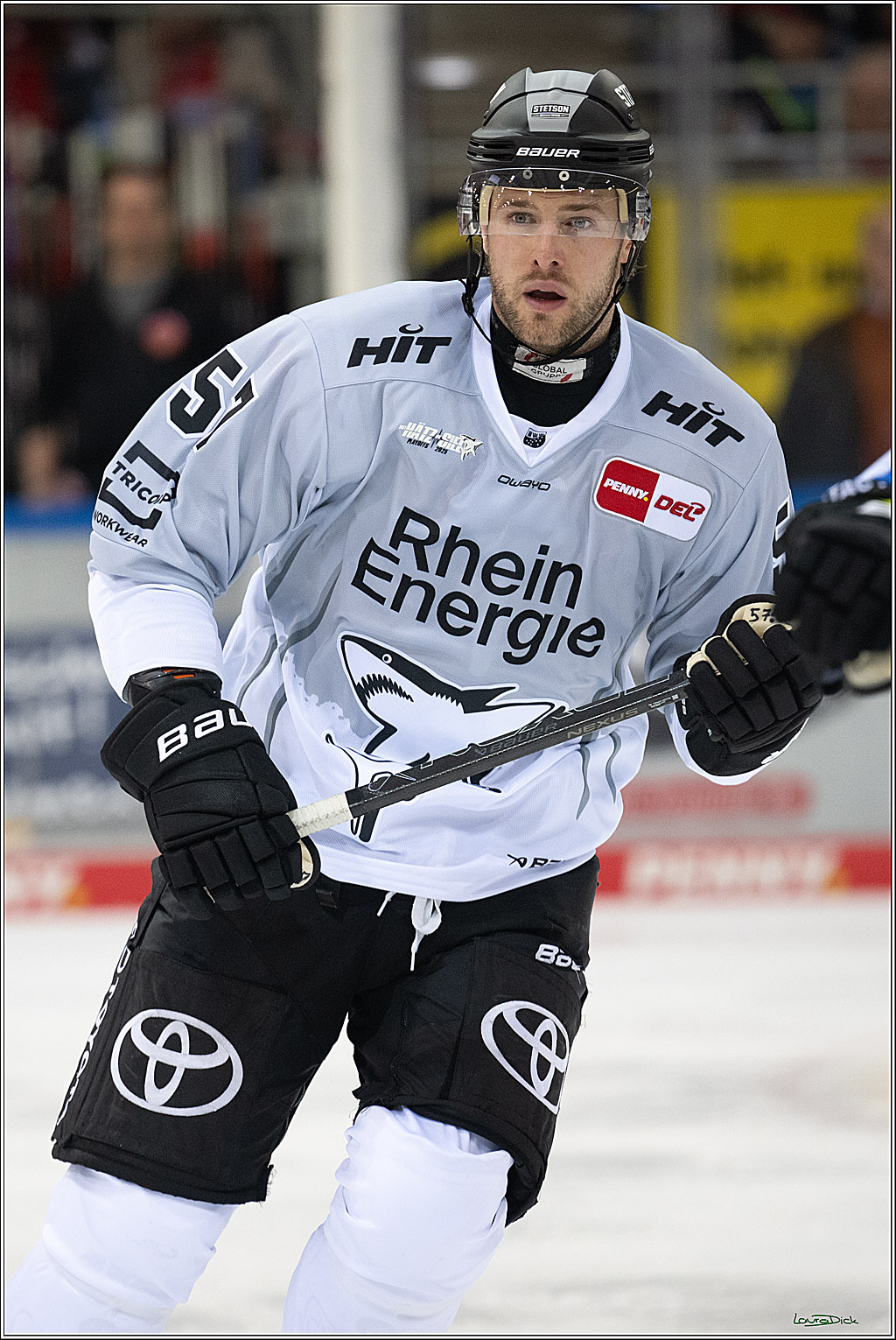 PENNY DEL; Fischtown Pinguins-Koelner Haie; Bremerhaven, 16.03.2025