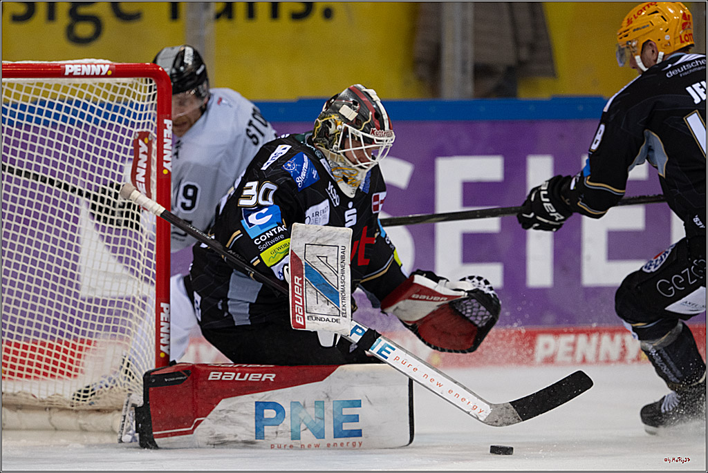 PENNY DEL 1 - Playoff Viertelfinale; Fischtown Pinguins Bremerhaven - Kölner Haie; Bermerhaven, 21.03.2025