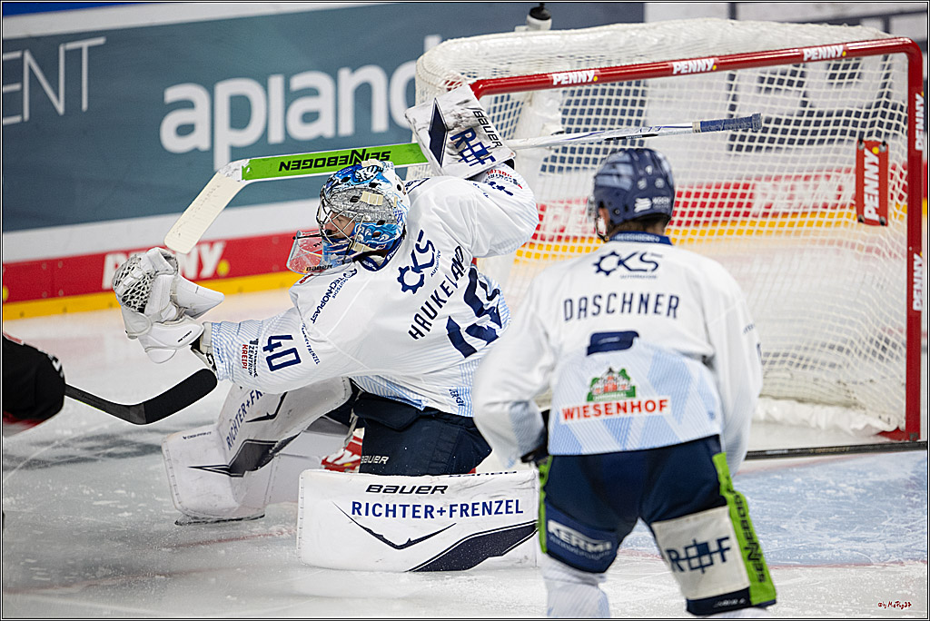 PENNY DEL 1; Kölner Haie - Straubing Tigers; Köln, 19.10.2025
