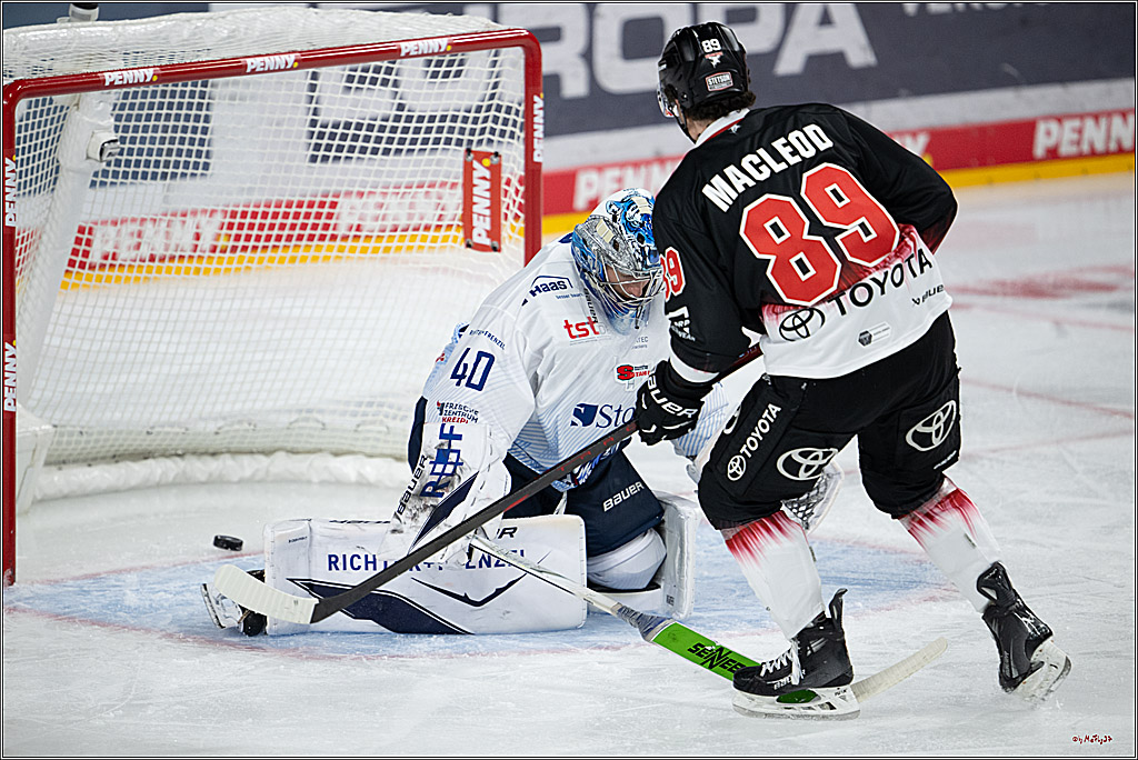 PENNY DEL 1; Kölner Haie - Straubing Tigers; Köln, 19.10.2025