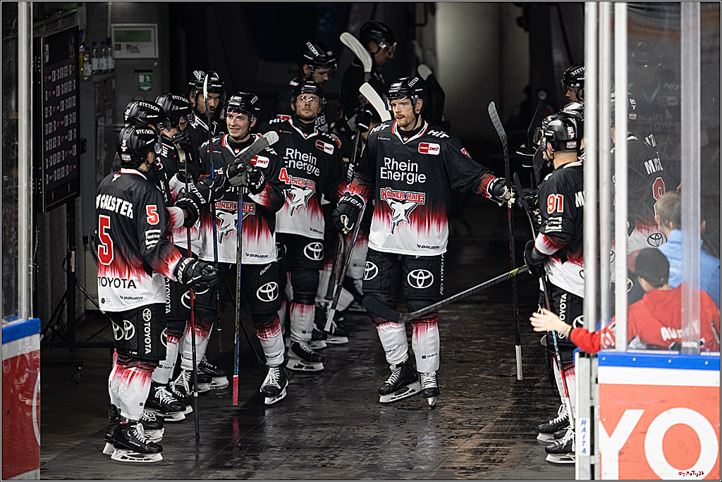 PENNY DEL 1; Kölner Haie - Straubing Tigers; Köln, 19.10.2025