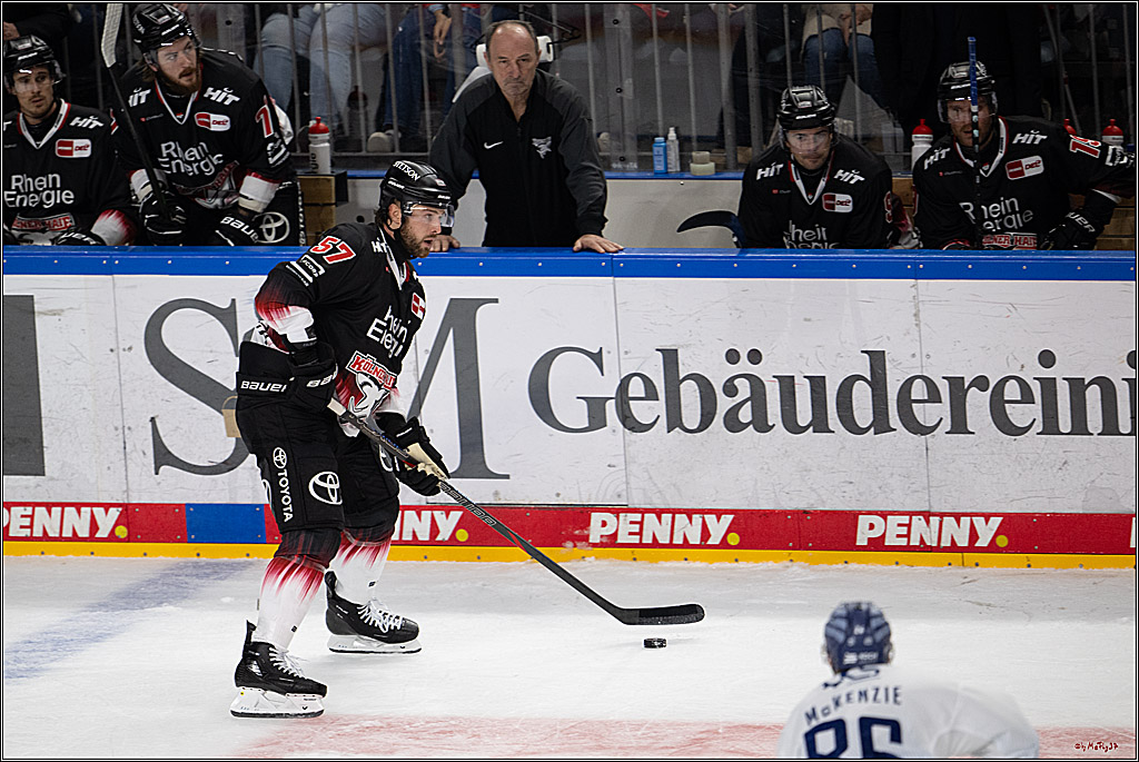 PENNY DEL 1; Kölner Haie - Straubing Tigers; Köln, 19.10.2025