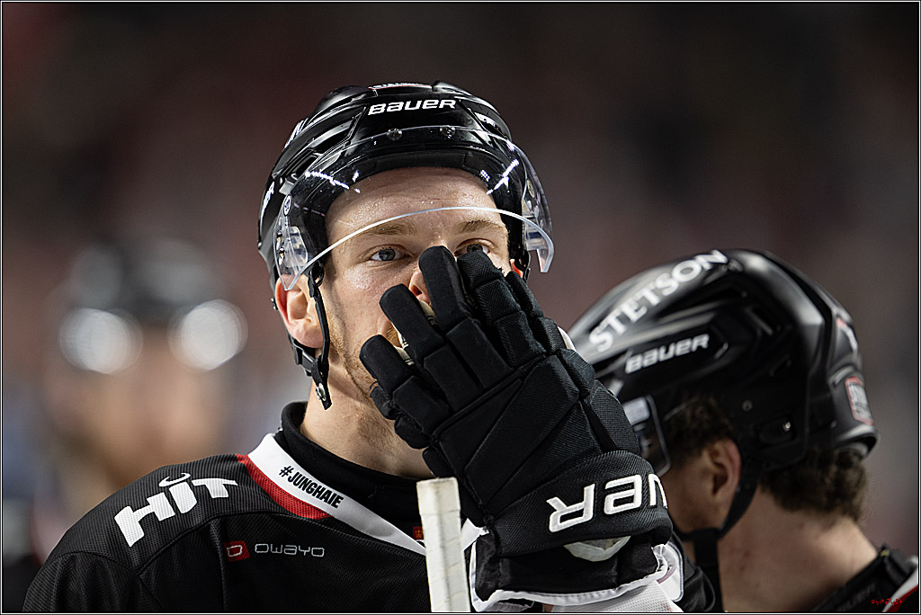 PENNY DEL 1; Kölner Haie - Straubing Tigers; Köln, 19.10.2025
