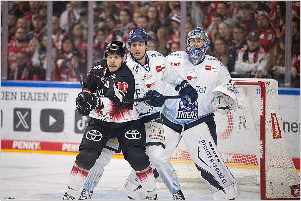PENNY DEL 1; Koelner Haie - Straubing Tigers; Koeln, 19.10.2025