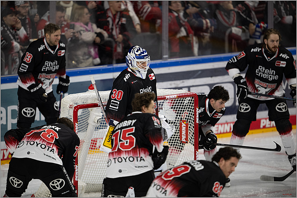 PENNY DEL 1; Kölner Haie - Schwenninger Wild Wings; Köln, 23.11.2025