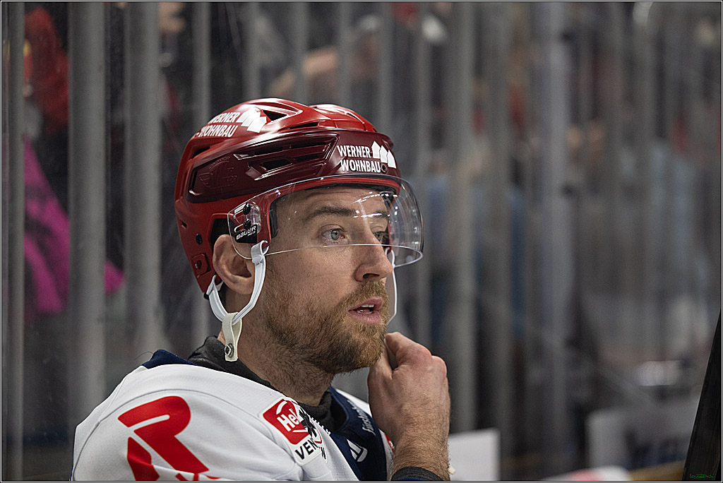 PENNY DEL 1; Kölner Haie - Schwenninger Wild Wings; Koeln, 23.11.2025